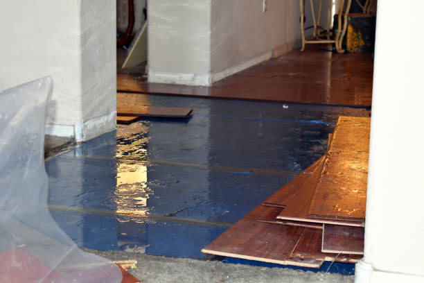 Professional Storm Water Damage Restoration technician working in Roxana, IL